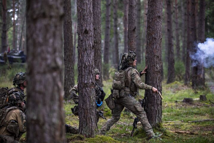 POTD: Danish 2nd Armored Infantry in Wild Leopard -The Firearm Blog